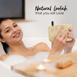 Buy Fabskin Natural Loofah Organic Sun Dried I Body Bath Sponge & Scrubber for Men & Women I Organic Luffa for Bath Shower Skin Exfoliation - Pack of 2 - Purplle