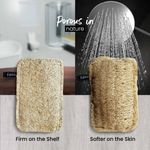 Buy Fabskin Natural Loofah Organic Sun Dried I Body Bath Sponge & Scrubber for Men & Women I Organic Luffa for Bath Shower Skin Exfoliation - Pack of 2 - Purplle