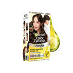 Buy Garnier Color Naturals Hairlighter, No Bleach, No Ammonia, Natural looking Highlights on Dark Indian Hair, Lasts Upto 8 weeks, Easy Precision Brush for At Home Application - (48 gm + 72 ml + 5 ml) - Purplle