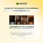 Buy Garnier Color Naturals Hairlighter, No Bleach, No Ammonia, Natural looking Highlights on Dark Indian Hair, Lasts Upto 8 weeks, Easy Precision Brush for At Home Application - (48 gm + 72 ml + 5 ml) - Purplle