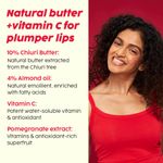 Buy PLIX Pomegranate Plump Lips Puddin' Mask for Dry Lips | with Chiuri Butter+ Vitamin C | Lightens Dark Lips| Lip Mask for Soft, Smooth, Plump Lips | 15 gm, Red - Purplle