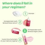 Buy PLIX Pomegranate 1.20% Retinol & 1% Bakuchi Oil Anti Ageing Night Cream | Reduces Fine Line & Wrinkles | For Men & Women | 50 gm - Purplle