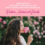 Buy LUX ROSE & ALOEVERA GEL BODY SCRUB, 300 gm - Purplle