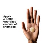 Buy L'Oreal Professionnel Absolut Repair Shampoo For Dry and Damaged Hair 300 ml With Protein & Omega-9 - Purplle