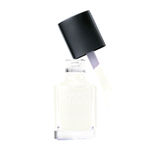 Buy Lakme Absolute Gel Stylist Nail Color, Snowball (12 ml) - Purplle