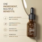 Buy Bare Anatomy 100% Pure & Natural Rosemary Essential Oil for Hair Growth & Thickness | Helps with Dandruff, Hair fall, Dry & Dull Skin | AYUSH Certified | Suitable for Men & Women | 15 ml - Purplle