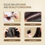 Buy Bare Anatomy 100% Pure & Natural Rosemary Essential Oil for Hair Growth & Thickness | Helps with Dandruff, Hair fall, Dry & Dull Skin | AYUSH Certified | Suitable for Men & Women | 15 ml - Purplle