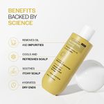 Buy Bare Anatomy Oil Control Shampoo | Sulphate & Paraben Free | Reduces Excess Oil by Up to 100%| Salicylic Acid + Hyaluronic Acid + Tea Tree | Suitable for Oily Scalp & Dry Ends | For Women & Men | 236 ml - Purplle