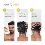 Buy Bare Anatomy Oil Control Shampoo | Sulphate & Paraben Free | Reduces Excess Oil by Up to 100%| Salicylic Acid + Hyaluronic Acid + Tea Tree | Suitable for Oily Scalp & Dry Ends | For Women & Men | 236 ml - Purplle