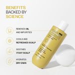 Buy Bare Anatomy Oil Control Shampoo | Sulphate & Paraben Free | Reduces Excess Oil by Up to 100%| Salicylic Acid + Hyaluronic Acid + Tea Tree | Suitable for Oily Scalp & Dry Ends | For Women & Men | 236 ml - Purplle