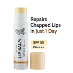 Buy Chemist At Play's Natural Lip Balm| Repairs Chapped Lips Brightens Dark Lips | 1% Kojic Acid| SPF 50 PA++++| For men and women| 4.5 gm - Purplle