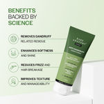 Buy Bare Anatomy Anti-Dandruff Hair Conditioner with Biotin, Salicylic Acid & Rosemary | Removes Flaky Buildup | Moisturizes & Strengthens Hair | Reduces Frizz & Breakage | For All Hair Types | 175 ml - Purplle