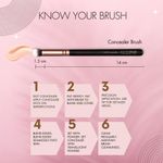 Buy Allure Concealer Buffer Brush (ASB142) - 1 Pc - Purplle