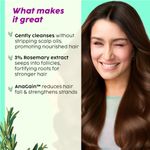 Buy PLIX Rosemary Advanced Anti Hair Fall Shampoo (200 ml) & Serum (30 ml) | Reducing Hair Loss & Breakage | All Hair Types | Men & Women | Sulphate & Parabeen Free| Dermatologically Tested, Combo of 2 - Purplle