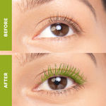 Buy Elitty Beauty Green Pop Colored Lush Lashes Mascara - Sub-Herb - 5 gm - Purplle