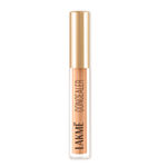 Buy Lakme 9 to 5 Powerplay Priming Concealer | Built in Primer | Hydrating | 20 Nude, 5.4 ml - Purplle