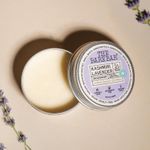 Buy The Bare Bar Kashmiri Lavender Deodorant 20 gm | Aluminium-Free| Arrowroot Powder & Shea Butter | Gentle & Long-Lasting Freshness I Natural Deodorant Cream - Purplle