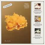 Buy The Bare Bar Rose Vanilla Solid Perfume – 20 gm | With Mango Butter, Coconut & Almond Oils | Soft Floral Scent | Natural, Alcohol-Free - Purplle