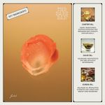 Buy The Bare Bar Gulab Lip Balm – 10 gm | With Rose Oil, Jojoba & Castor Oils | Nourishing & Hydrating Lip Care for Soft, Smooth Lips - Purplle