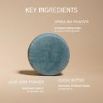 Buy The Bare Bar Arctic Clay Shampoo Bar – 25 gm With Blue Clay, Spirulina & Aloe Vera | Detoxifying & Volumizing Solid Shampoo | Sulfate-Free & Travel-Friendly - Purplle