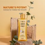Buy Enshine onion hair oil, 100 ml - Purplle