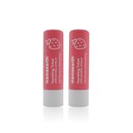 Buy Mamaearth Nourishing Tinted 100% Natural Lip Balm with Vitamin E and Strawberry - 4 gm (Pack of 2) - Purplle