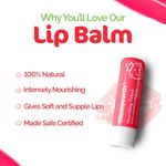 Buy Mamaearth Nourishing Tinted 100% Natural Lip Balm with Vitamin E and Strawberry - 4 gm (Pack of 2) - Purplle