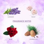 Buy Layerr Wottagirl ! Perfume for Women - FRENCH PEONY 135 ml - Purplle