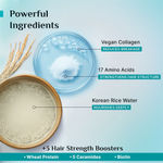 Buy Pilgrim Korean Rice Water & Collagen Advanced Damage Repair Shampoo + Conditioner + Hair Mask | Hair Fall Control, Soft & Silky Hair | 200 ml +200 ml +200 gm | Combo of 3, Haircare Kit - Purplle