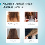 Buy Pilgrim Korean Rice Water & Collagen Advanced Damage Repair Shampoo + Conditioner + Hair Mask | Hair Fall Control, Soft & Silky Hair | 200 ml +200 ml +200 gm | Combo of 3, Haircare Kit - Purplle