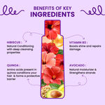 Buy Alps Goodness HibiscusAvocado & Quinoa Cleansing Shampoo for Curly Hair Enriched with Vitamin B3 (105 ml) I Curl Care I Curl Enhancing I Hydrating Shampoo - Purplle