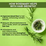 Buy Alps Goodness Rosemary Water (100 ml) | Rosemary water for hair | Hair Spray for Hair Growth - Purplle