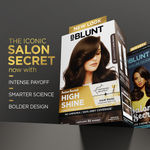 Buy BBLUNT Salon Secret High Shine Conditioning Hair Colour - Chocolate Dark Brown 130 gm - Purplle