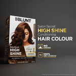 Buy BBLUNT Salon Secret High Shine Conditioning Hair Colour - Coffee Natural Brown 130 gm - Purplle