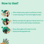 Buy Aravi Organic Rosemary Shampoo & Conditioner Combo | Hair Fall Control & Strengthening Duo for Hair Growth, Smoothness & Scalp Nourishment (Combo of 2) - Purplle