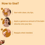 Buy Aravi Organic Tinted & Non-Tinted Lip Balm Combo | Natural Lip Care Duo for Hydrated, Soft & Nourished Lips | With Beetroot & Shea Butter | Suitable for All Skin Type (Pack Of 2) - Purplle