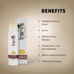 Buy Barva Skin Therapie Lip Balm, Made with Clarified Butter, Heals Dry Chapped Lips, Long Lasting, No Tint, 5 gm - Purplle