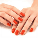 Buy Lakme Absolute Gel Stylist, Lobster Love,12 ml - Purplle