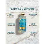 Buy Vedic Valley Snanam Toja Body Wash 330 ml - Purplle