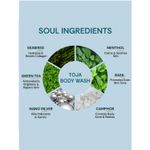 Buy Vedic Valley Snanam Toja Body Wash 330 ml - Purplle