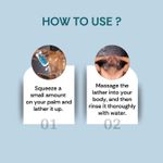 Buy Vedic Valley Snanam Toja Body Wash 330 ml - Purplle