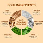 Buy Vedic Valley Snanam Oudh Chandan Body Wash 330 ml - Purplle