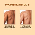 Buy Vedic Valley Snanam Oudh Chandan Body Wash 330 ml - Purplle