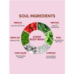 Buy Vedic Valley Snanam Pushp Body Wash 330 ml - Purplle