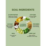 Buy Vedic Valley 21 Tatva Brewed Herb Shampoo 300 ml - Purplle