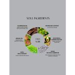 Buy Vedic Valley Paraben Free Oud Noir Body Lotion 300 ml - Purplle