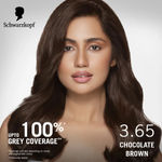 Buy Schwarzkopf Simply Colour Permanent Hair Colour For 100% Grey CoveragePack of 2( 3.65 Chocolate Brown 142.5 ml ) - Purplle