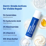 Buy DermDoc 1% Hyaluronic Acid + 1% Ceramide Berry Tinted Lip Balm SPF 50 PA+++ 4 gm| Hydrates, Repairs & Protects Lips | UV Defense + 4 Hr Water Resistance | High Tint Coverage | Deep Moisturization | Sun Protection| Enriched with Shea Butter & Vitamin E - Purplle
