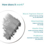 Buy WishCare Air Powder Dry Shampoo for Oily Hair & Scalp - No White Cast & Aerosol - Volume Boost (10 gm) - Purplle