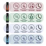 Buy Wild Stone Intense no gas deodorant travel (Black, Ocean, Trance & Wood)pack of 4 (40 ml each) - Purplle